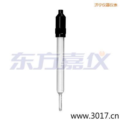 濟(jì)寧玻璃外殼無溫補兩線電導(dǎo)率電極