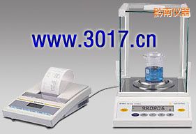 ǭ��BTϵ�о�����ƽ,41/120g,0.01/0.1mg