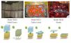 PrimePro EAP ��ϩ�������b [EAP],��̖:PrimePro EAP,Ʒ��:����DeltaTRAK