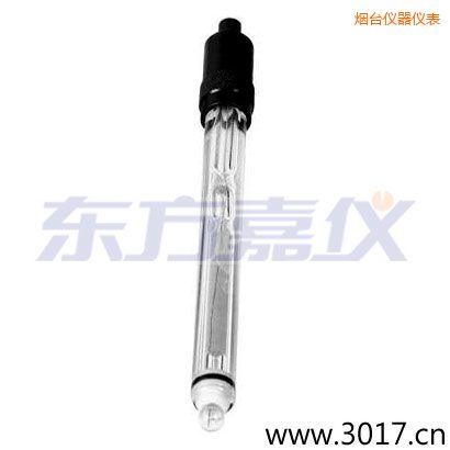 煙臺(tái)玻璃外殼純水電極